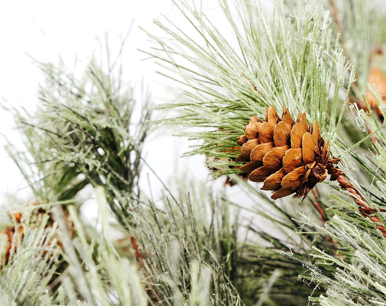 Smokey Pine Pick Set of 6