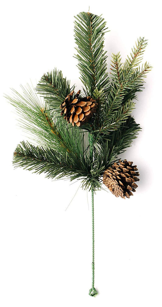 Highland Park Pine Pick Set of 6