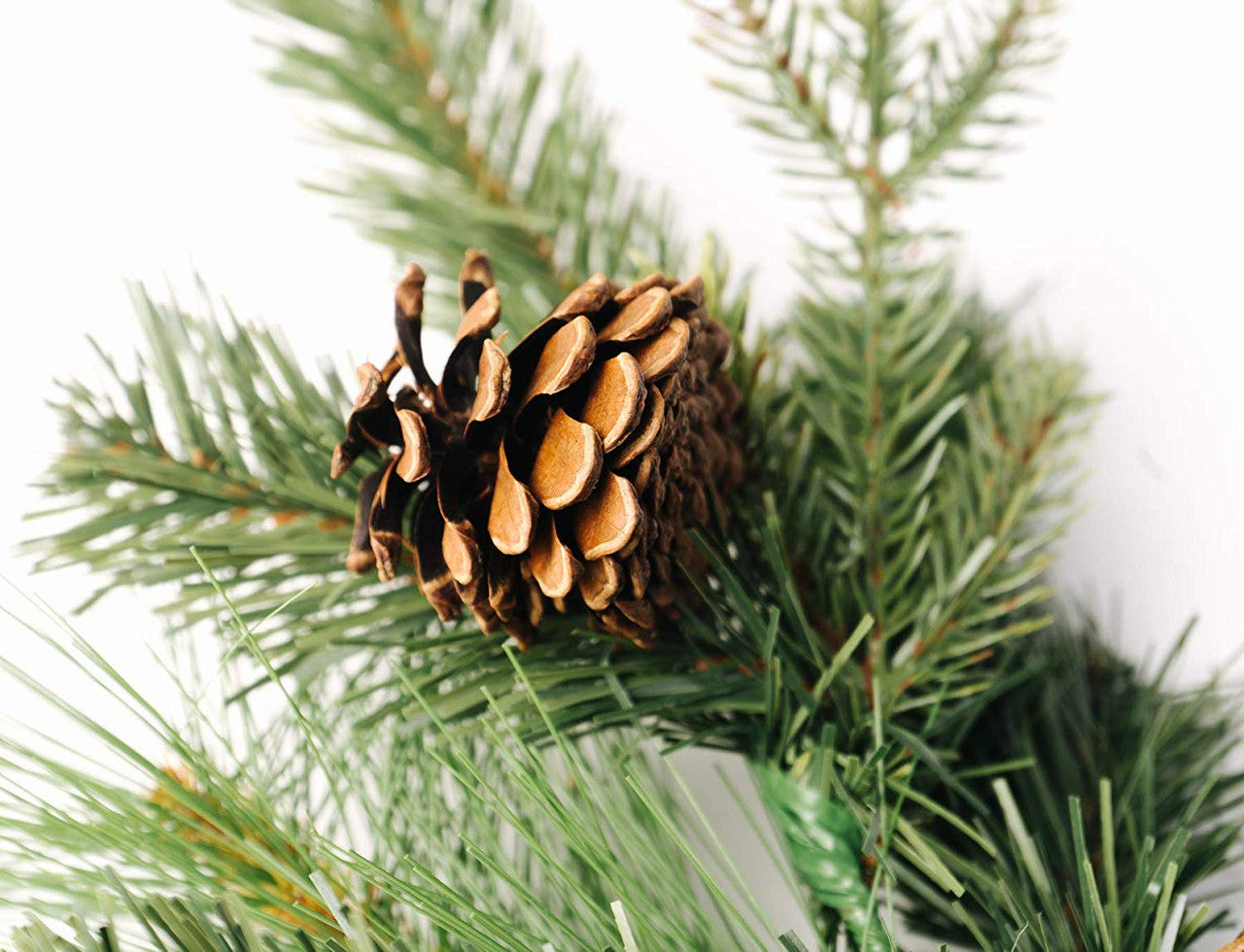 Highland Park Pine Pick Set of 6