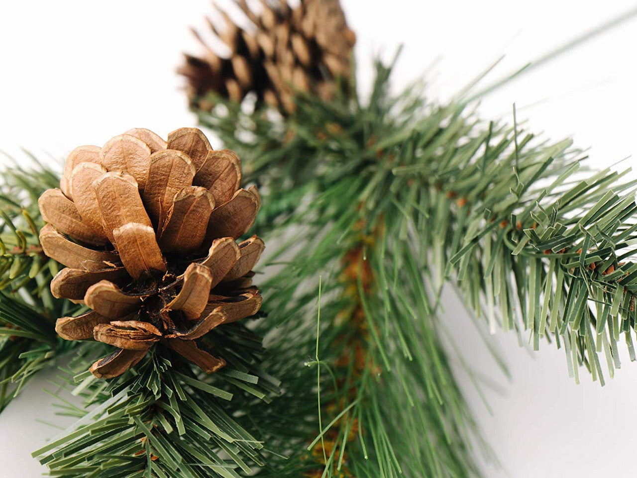 Highland Park Pine Pick Set of 6