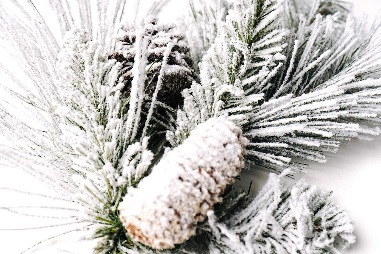 Frosted Holiday Pine Pick Set of 6